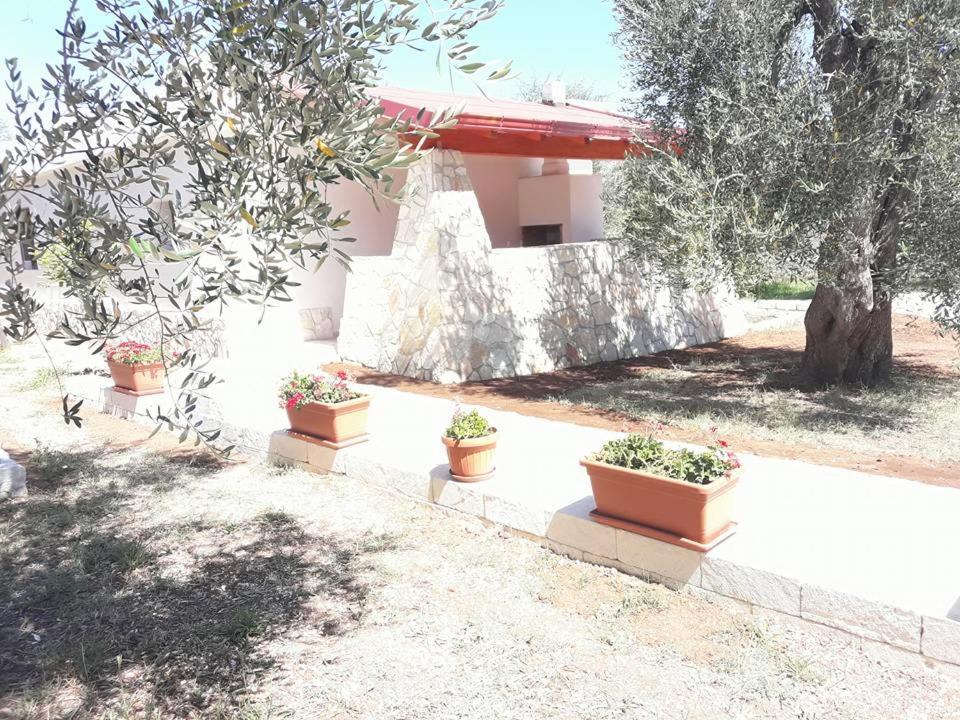 Borgo Cerasa Bed & Breakfast Vieste Eksteriør bilde